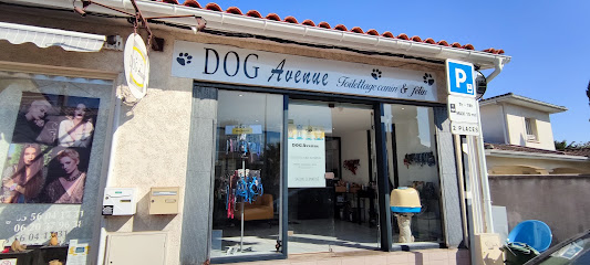 DOG Avenue