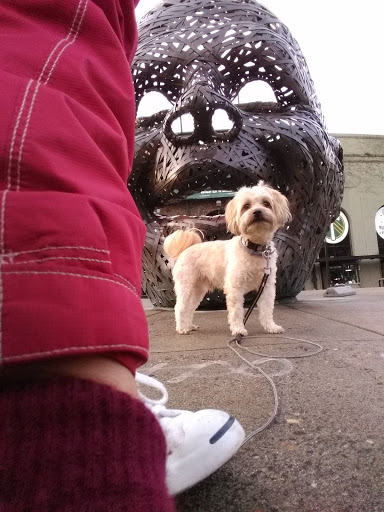 Stadium «Providence Park», reviews and photos, 1844 SW Morrison St, Portland, OR 97205, USA