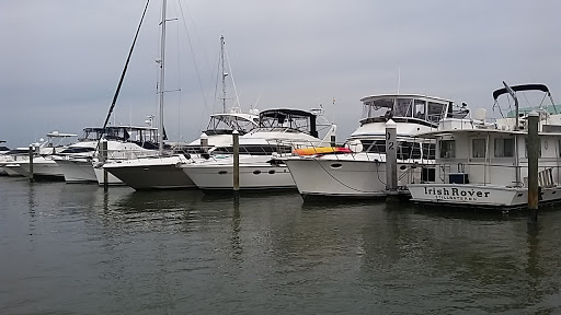 Boat Tour Agency «Good Time Charters», reviews and photos, 4765 Estero Blvd, Fort Myers Beach, FL 33931, USA