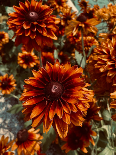 Museum «Oldfields–Lilly House & Gardens», reviews and photos, 4000 N Michigan Rd, Indianapolis, IN 46208, USA