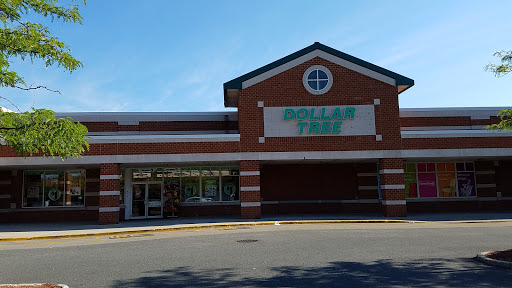 Dollar Store «Dollar Tree», reviews and photos, 60 Everett St, Allston, MA 02134, USA