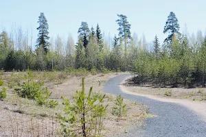 Suomies Nature Trail image