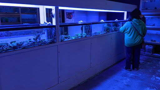 Pet Store «The Aquarium & Fish Store», reviews and photos, 710 W Lumsden Rd, Brandon, FL 33511, USA