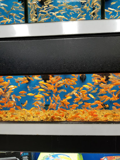 Pet Supply Store «Petco Animal Supplies», reviews and photos, 855 E Bidwell St, Folsom, CA 95630, USA