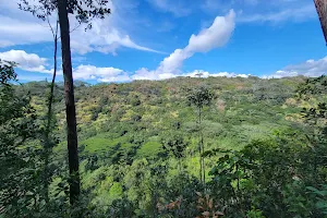 Waimano Valley / Ridge Trail Head image