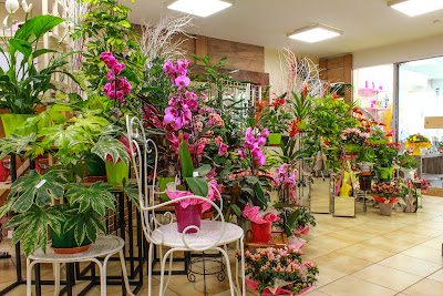 Floralys à Surgères