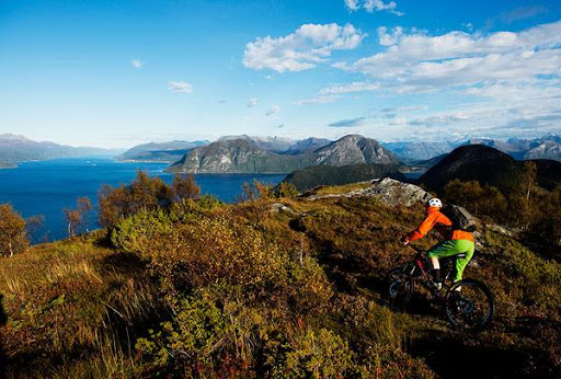 Bicycle Store «Trek Bicycle Store Cincinnati», reviews and photos, 9695 Kenwood Rd, Cincinnati, OH 45242, USA