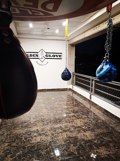 Golden Glove Boxing Club - Av. Venustiano Carranza 2360B, Glorieta, 78220 San Luis, S.L.P., Mexico
