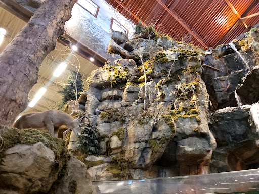 Sporting Goods Store «Bass Pro Shops», reviews and photos, 1000 Basspro Dr, Houston, TX 77047, USA