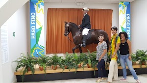 Museo del Deporte de Gurabo - photo 2