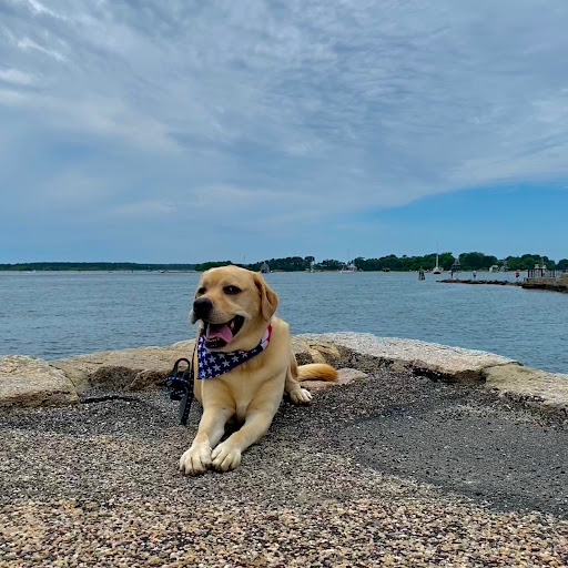 Winery «Cape Cod Winery», reviews and photos, 4 Oxbow Rd, East Falmouth, MA 02536, USA