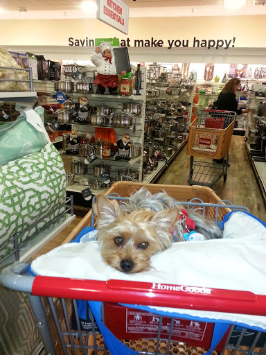 Department Store «HomeGoods», reviews and photos, 2950 St Rose Pkwy, Henderson, NV 89052, USA