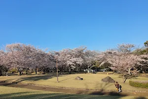 Minamitateishi Park image