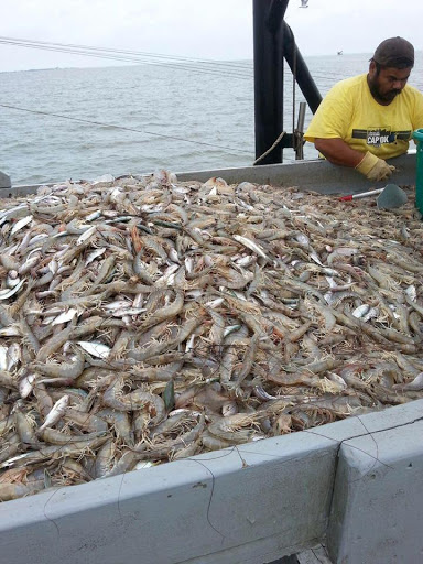 Seafood Market «Seven Seas Seafood Market», reviews and photos, 3476 US-17 BUS, Murrells Inlet, SC 29576, USA