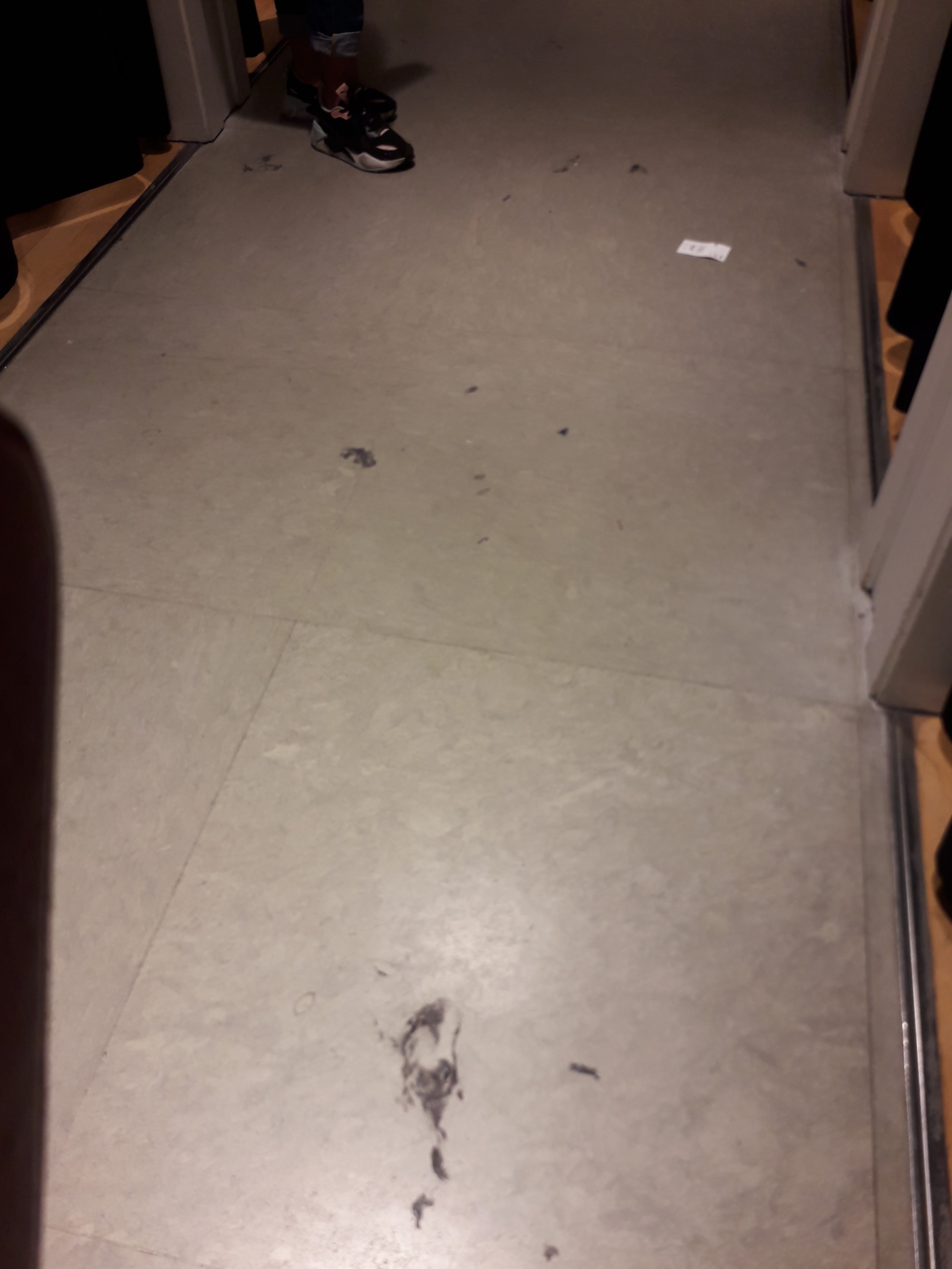 Photo n° 2 de l'avis de Ludi.o fait le 29/08/2019 à 16:52