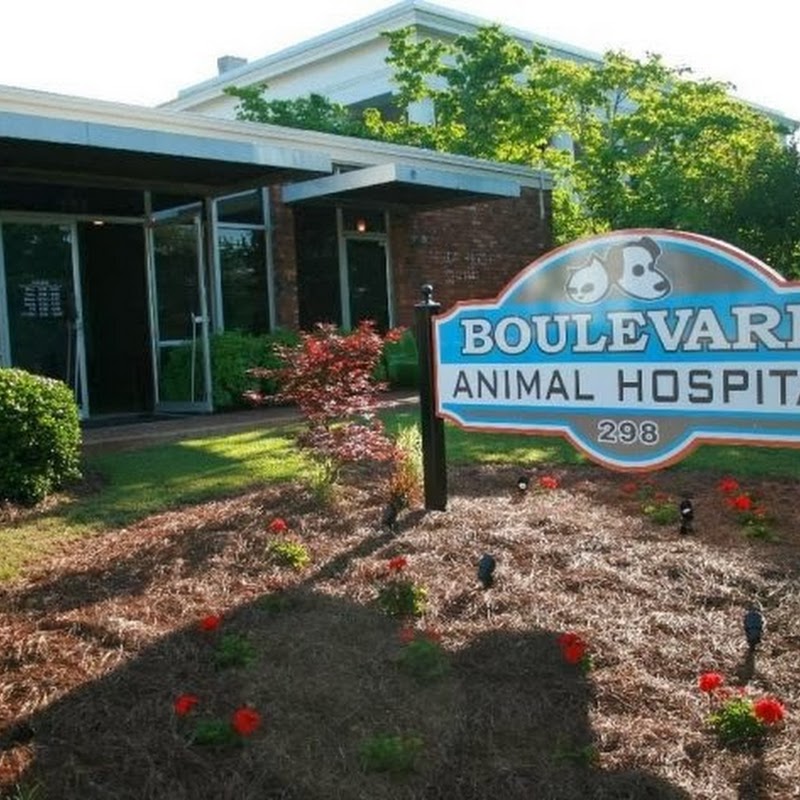 Boulevard Animal Hospital