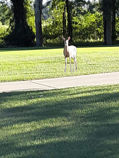 Country Club «Sand Creek Country Club», reviews and photos, 1001 Sand Creek Dr, Chesterton, IN 46304, USA