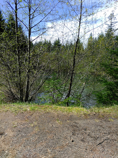 Campground «Camp Dakota», reviews and photos, 1843 Crooked Finger Rd NE, Scotts Mills, OR 97375, USA