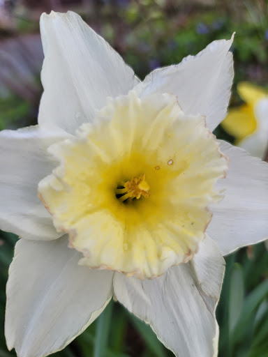 Park «Crispus Attucks Park», reviews and photos, 23 U St NW, Washington, DC 20001, USA