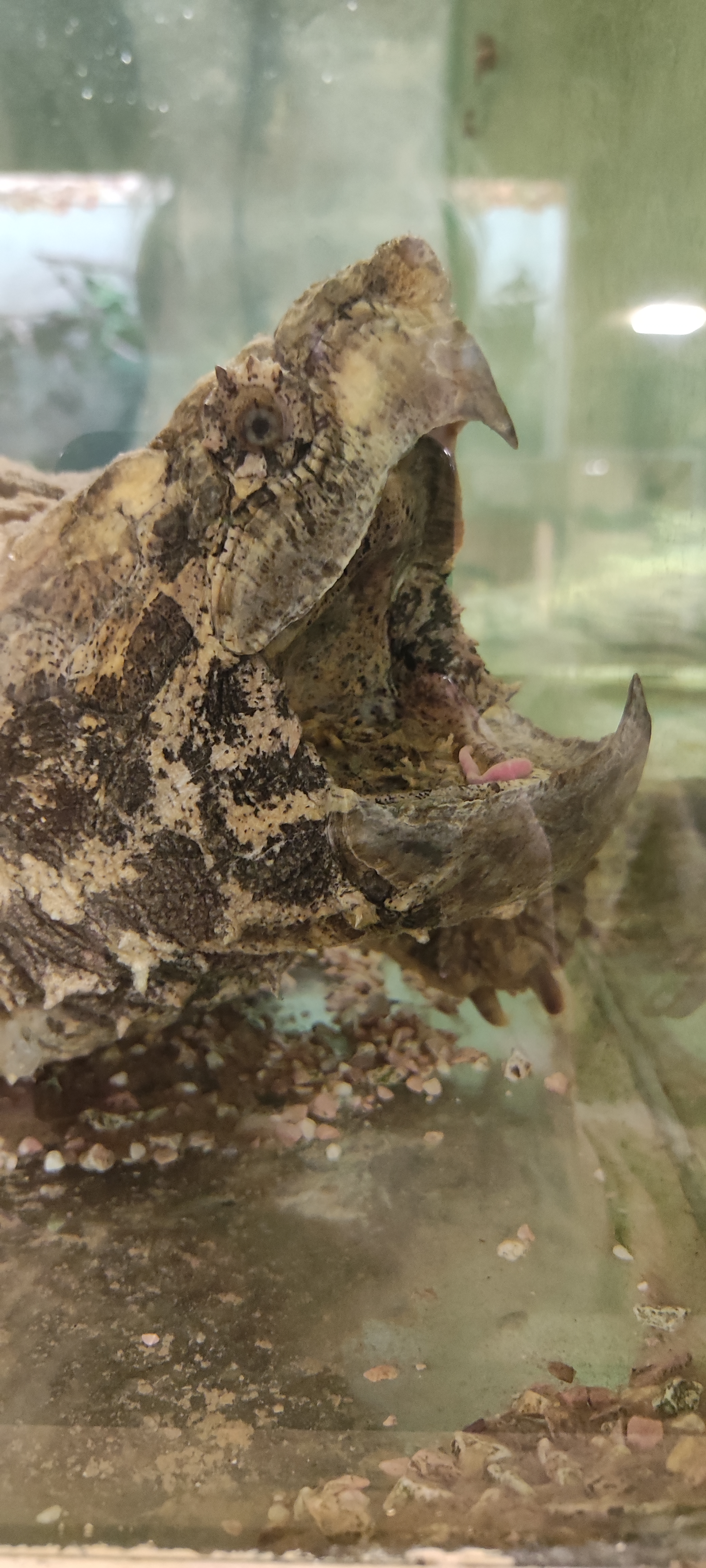 Photo n° 6 de l'avis de Yannick.o fait le 11/02/2023 à 16:29