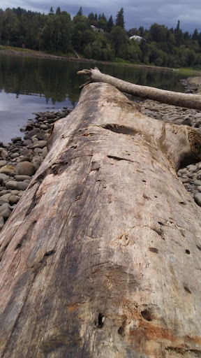 Park «Meldrum Bar Park», reviews and photos, 19 Meldrum Bar Park Rd, Gladstone, OR 97027, USA