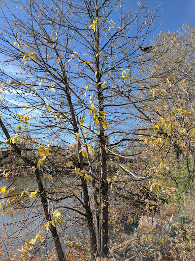 Park «Harvey Park», reviews and photos, 2120 S Tennyson Way, Denver, CO 80219, USA