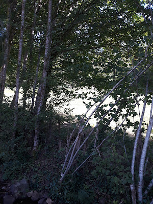 Ruisseau du Suquet à Altillac
