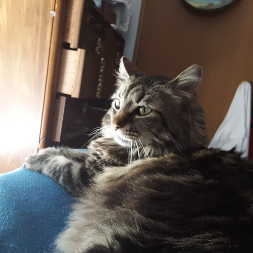 Pet Supply Store «Pet Supermarket, Inc.», reviews and photos, 598 N McCarran Blvd, Sparks, NV 89431, USA