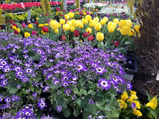 Home Improvement Store «The Home Depot», reviews and photos, 8000 Folsom Blvd, Sacramento, CA 95826, USA