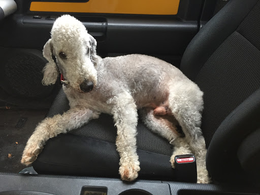 Country Club «Oak Hill Country Club», reviews and photos, 145 Kilbourn Rd, Rochester, NY 14618, USA