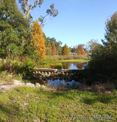 Park «Highlander Park & Aquatic Complex», reviews and photos, 1937 Ed Eckert Dr, Dunedin, FL 34698, USA