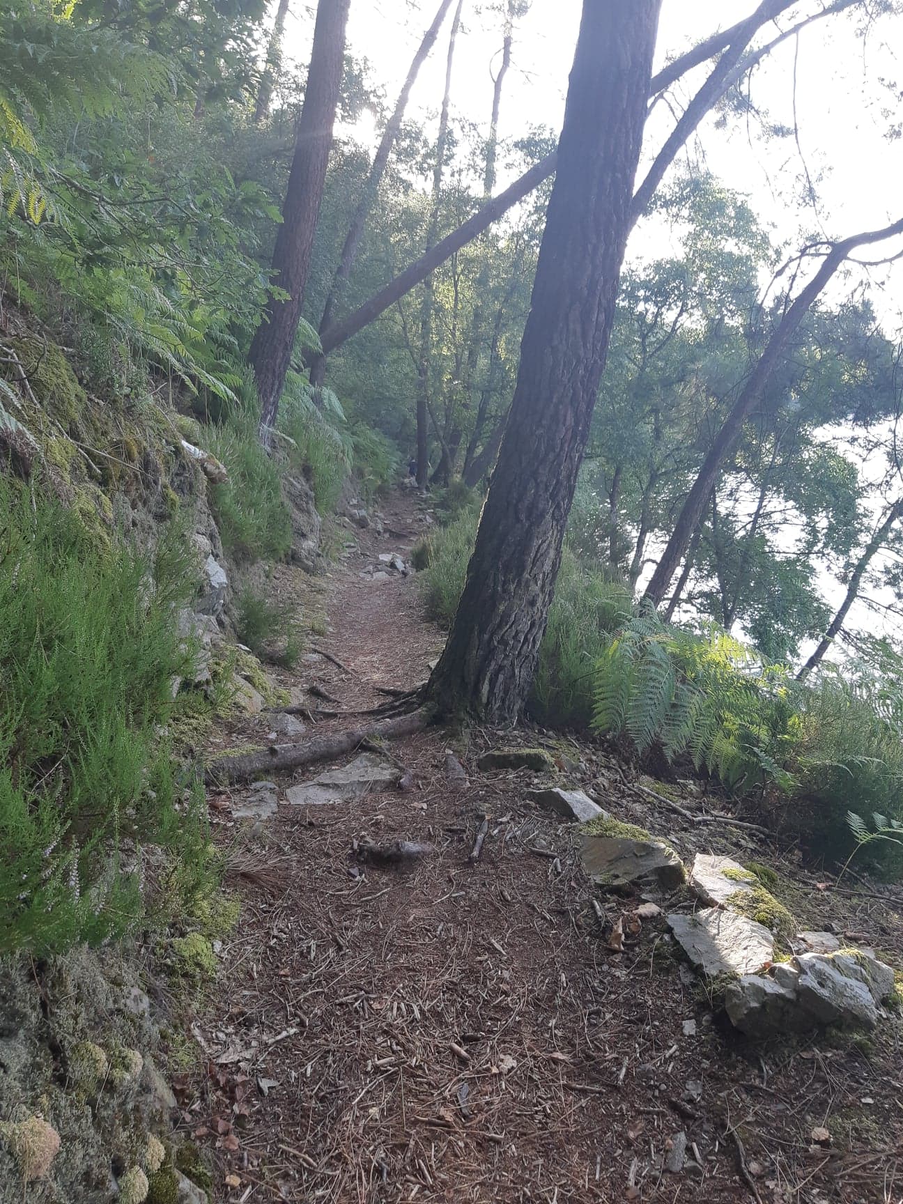 Photo n° 3 de l'avis de Mimi. fait le 23/09/2019 à 16:04