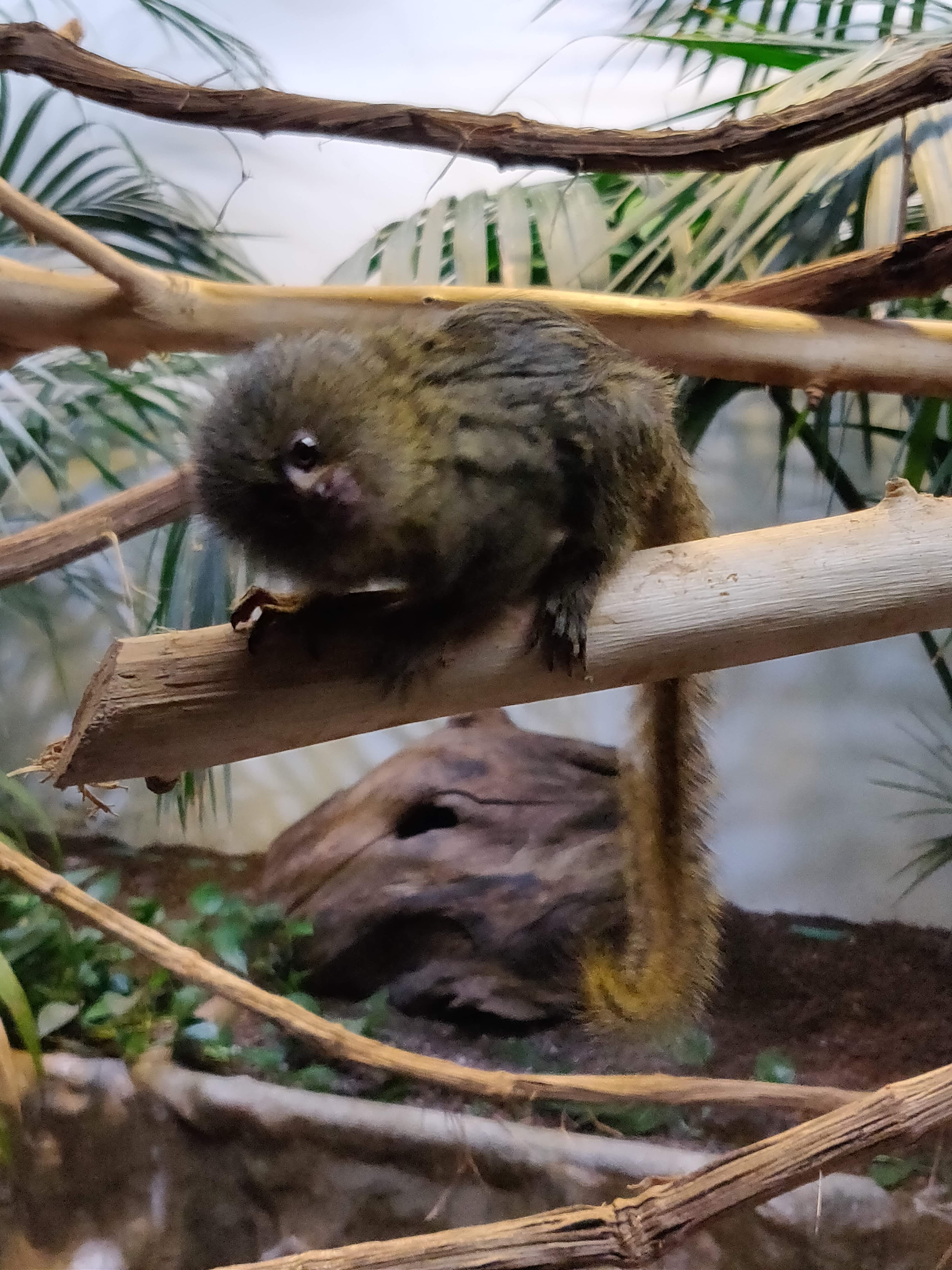 Photo n° 8 de l'avis de Kelly.e fait le 06/10/2020 à 20:25