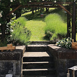 Photo n°2 de l'avis de Cristina.e fait le 15/06/2022 à 18:06 sur le  Il Bacher in fiore S.r.l.s. à Berceto