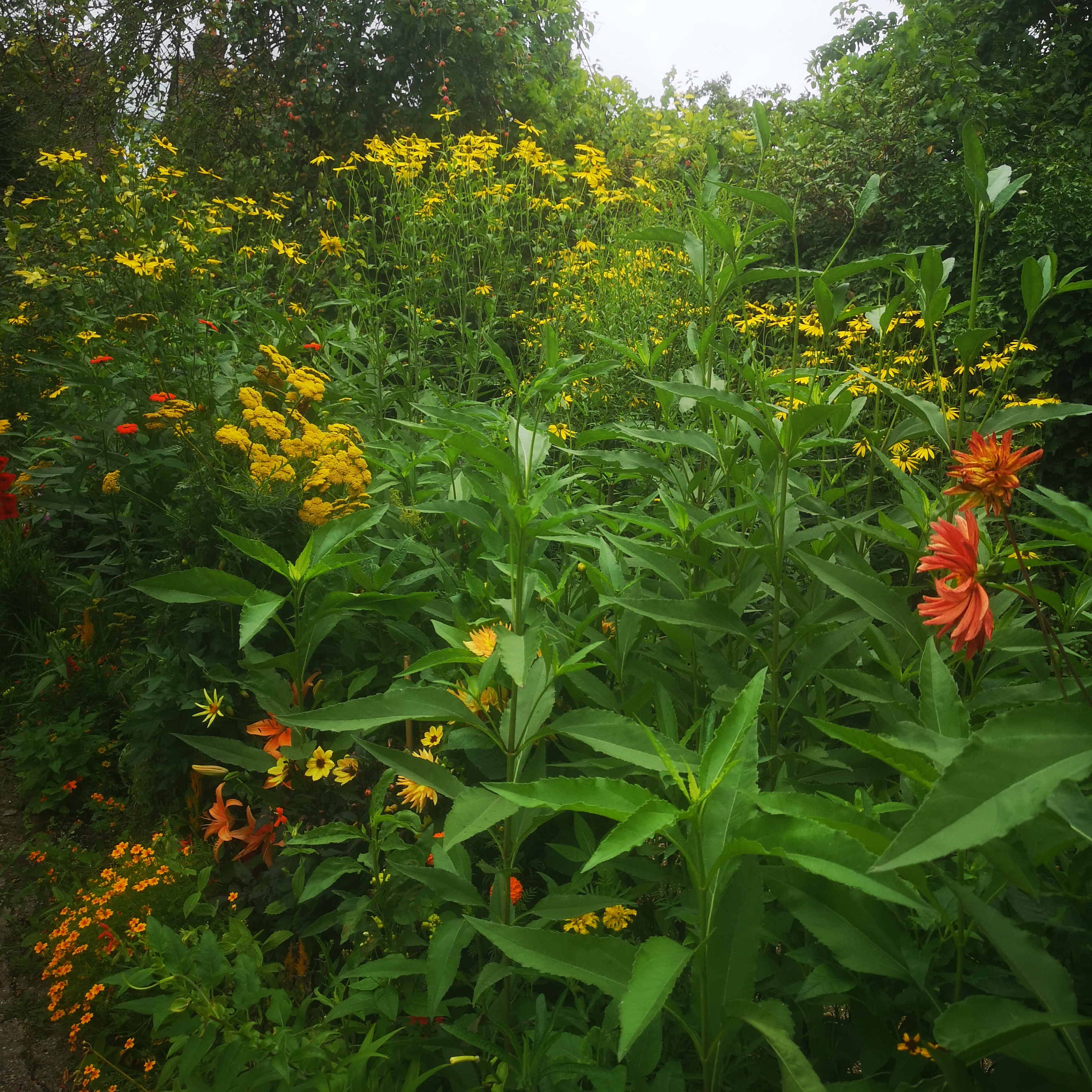 Photo n° 5 de l'avis de Oli.r fait le 28/07/2023 à 09:04