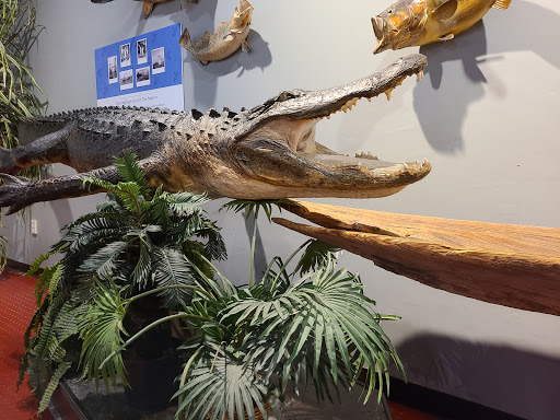 Tourist Attraction «IMAG History & Science Center (formerly Imaginarium Science Center)», reviews and photos, 2000 Cranford Ave, Fort Myers, FL 33916, USA