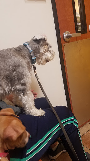 Pet Supply Store «PetSmart», reviews and photos, 9905 E Independence Blvd, Matthews, NC 28105, USA