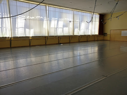 ARC School of Ballet