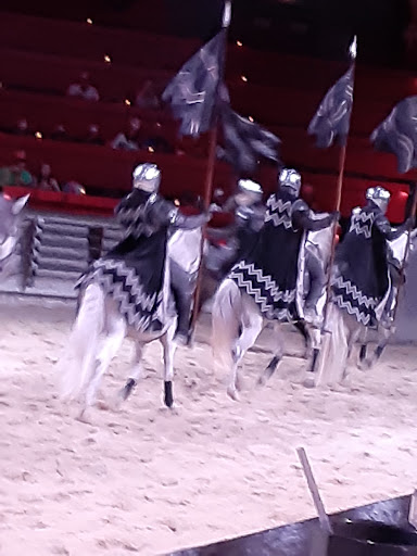 Dinner Theater «Medieval Times Dinner & Tournament», reviews and photos, 5900 Sugarloaf Pkwy #517, Lawrenceville, GA 30043, USA