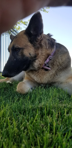 Golf Course «The Ridge Golf Course», reviews and photos, 5055 Westridge Blvd, West Valley City, UT 84118, USA