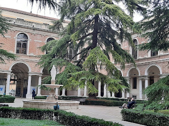 Università degli Studi di Padova