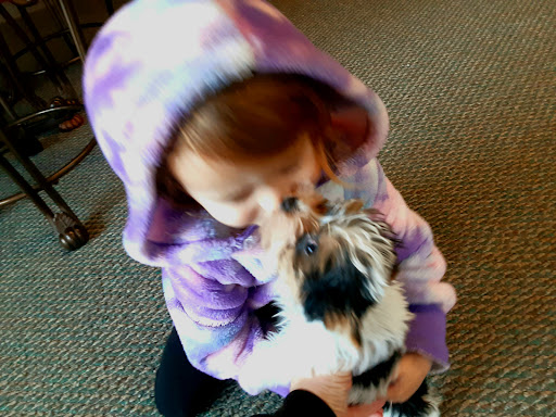 Florist «Caldwell Floral», reviews and photos, 103 S Kimball Ave, Caldwell, ID 83605, USA