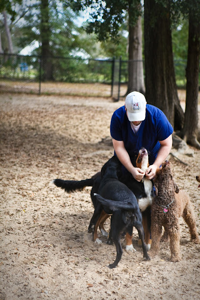 Olive Branch Pet Hospital