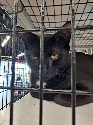 Pet Supply Store «Pet Supermarket», reviews and photos, 1809 S University Dr, Davie, FL 33324, USA