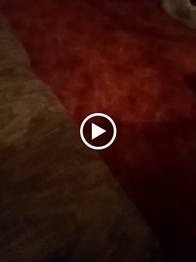 Convenience Store «Slanesville General Store», reviews and photos, 100 N Main St, Slanesville, WV 25444, USA