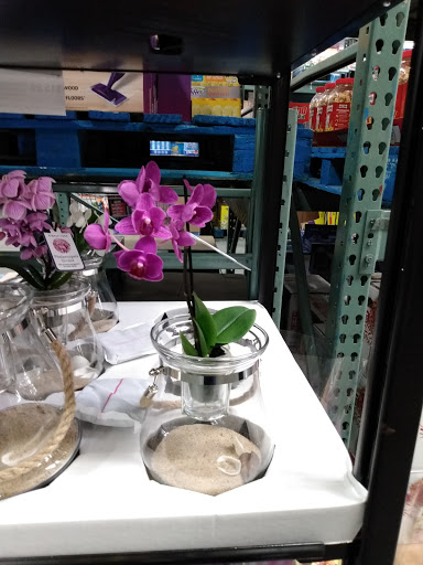 Warehouse club «BJ’s Wholesale Club», reviews and photos, 825 Pelham Pkwy, Pelham Manor, NY 10803, USA