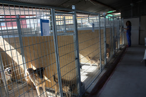 Tiendas de productos para animales en Molina de Segura de 2024