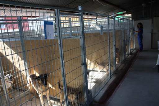 Clínica Veterinaria Vetam en Molina de Segura