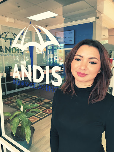 Auto Insurance Agency «Andis Insurance Agency», reviews and photos