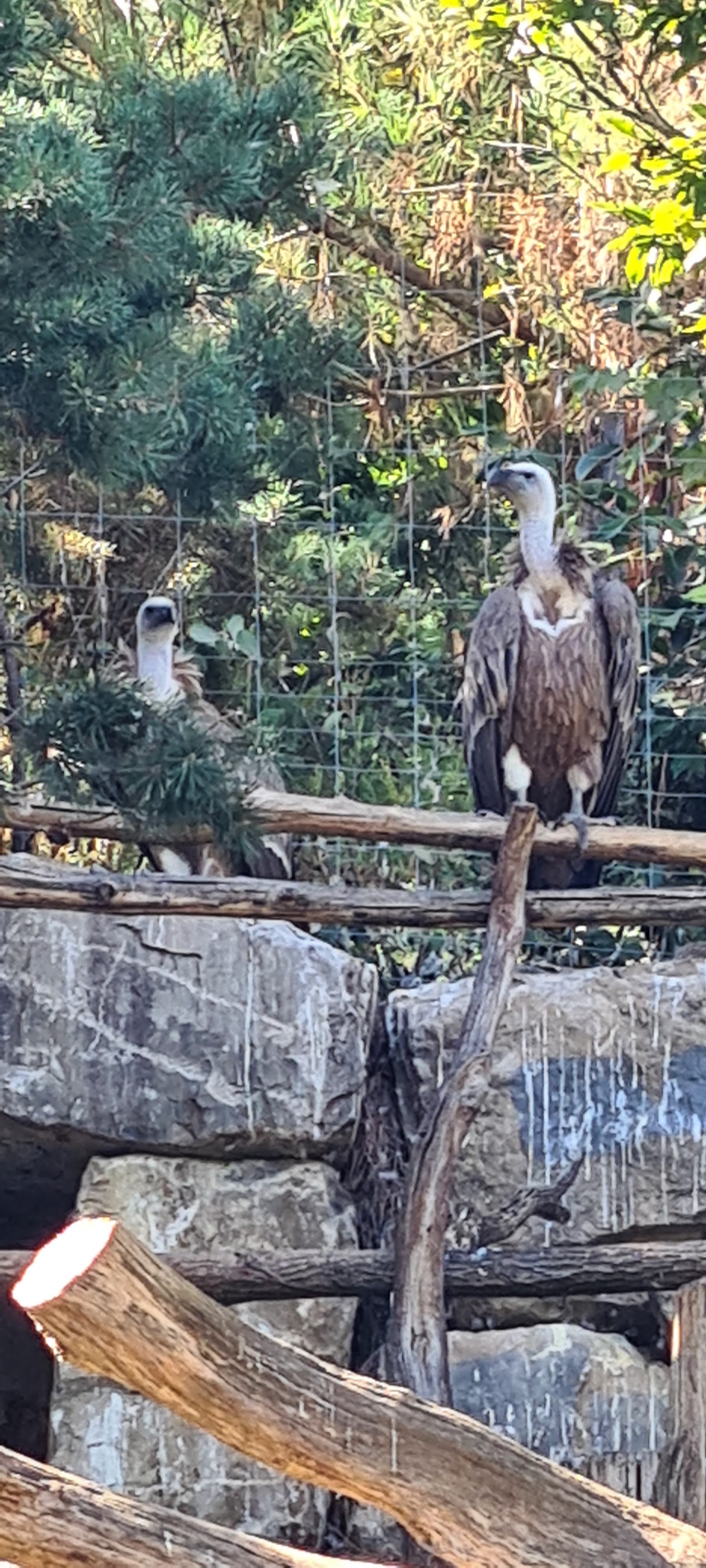 Photo n° 12 de l'avis de Jacky.r fait le 18/09/2022 à 05:13